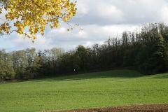 Borona-Tanosvenyen-osszel-kep_133