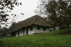 Borona-Tanosvenyen-osszel-kep_141