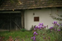 Borona-Tanosvenyen-osszel-kep_143