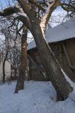 Borona-tanosvenyen-telen-kep_-175