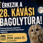 Kávási Bagolytúra